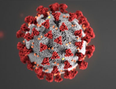 23 Haziran'ın koronavirüs tablosu açıklandı!
