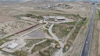 ANATOMI - 'Anadolu Aslani' Bu Çiftlikte Korunacak