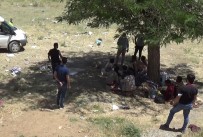Bitlis'te 70 Düzensiz Göçmen Yakalandi