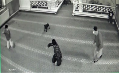 Camide Hayatlarinin Sokunu Yasadilar