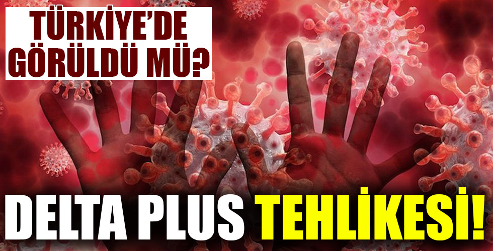 Delta Plus varyantı Türkiye'de görüldü mü?