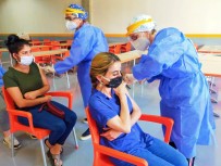 FABRIKA - Edirne'de Asilamada Rekor