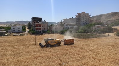 Gercüs'te Biçer Döverler Tarlaya Girdi