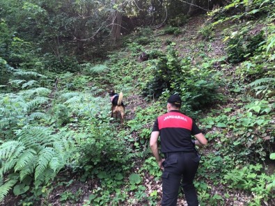 Günlerdir Haber Alinamayan Yasli Adam, Kadavra Köpegi Ile Araniyor