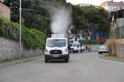 Kartal'da Uçkun Ve Sivrisinekle Mücadelede Ilaçlama Çalismalari Basladi