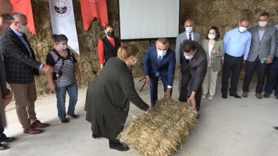 Kirklareli'nde Islah Edilen Meralarda Yetistirilen Hayvan Yemleri Besicilere Dagitildi