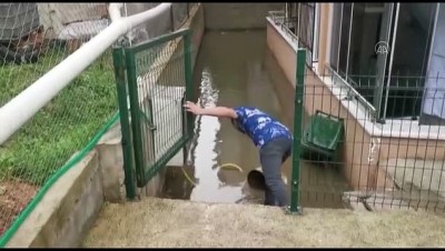 Kocaeli'deki Cinayet Davasinda Mütalaa Açiklandi
