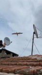 TELEVİZYON TAMİRCİSİ - Martilar Anten Tamircisini Çatida Rahat Birakmadi