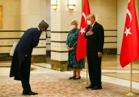 ABBA - Nijerya Büyükelçisi Abba, Cumhurbaskani Erdogan'a Güven Mektubu Sundu