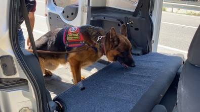 Tüm Araçlar Tek Tek Çevrildi, Her Yer Didik Didik Arandi