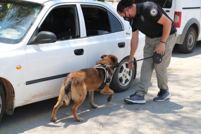 47 Bin 167 Personelin Katilimiyla 'Huzurlu Sokaklar Ve Narkotik Suçlari Önleme Uygulamasi' Yapildi