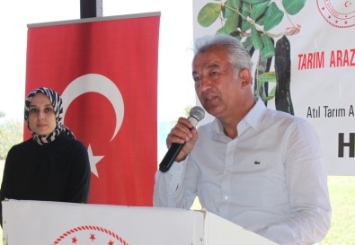 Atil Tarim Arazileri Keçiboynuzuyla Sifa Kaynagi Olacak