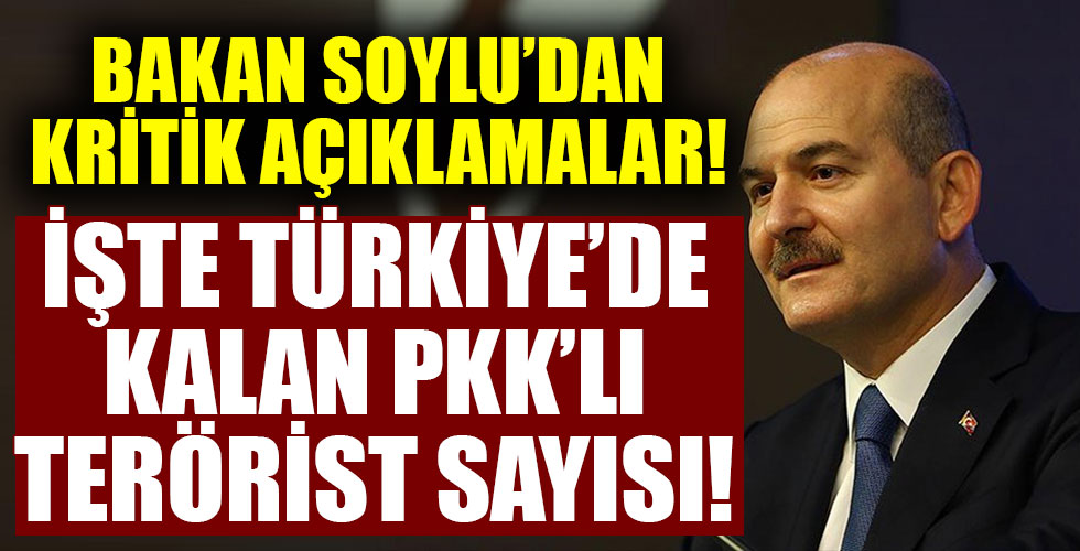 Bakan Soylu: Türkiye’deki PKK'lı terörist sayısını açıkladı!