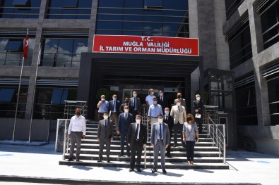 Basarili Çalismalar Imza Atan Tarim Il Müdürlügü, Vali Tavli'yi Agirladi