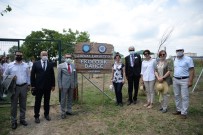 REKTÖR - Ekolojik Bahçeler, Personeli Doga Ile Bütünlestirecek