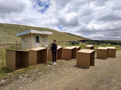 Gazi Üniversitesi Ögrencilerinden Sokak Hayvanlarina Destek