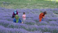 ZİYARETÇİLER - Kadinlar Birlik Oldu, Simdi O Köy Kirsal Turizmin Gözdesi