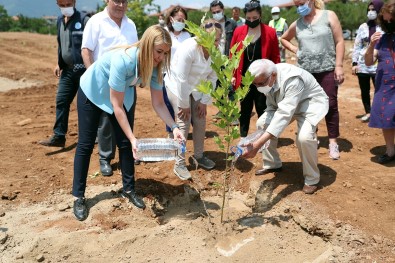 Köy Enstitülerinin Mimari Ismail Hakki Tonguç Anisina Hatira Ormani Olusturuldu