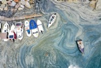 KEMAL KILIÇDAROĞLU - Marmara müsilaja boğulunca mı çark ettiniz? CHP Genel Başkanı Kemal Kılıçdaroğlu: Biyolojik arıtma lazım