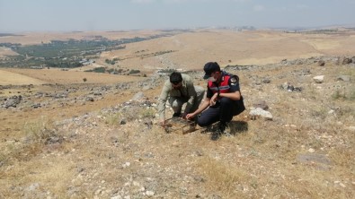 Özel Düzenekle Saka Kusu Avlayan Kaçak Avcilar Jandarmaya Yakalandi