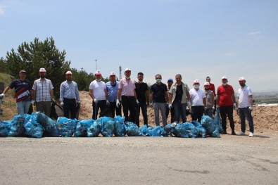 Sivas Ormanina Rizeli Eli Degdi