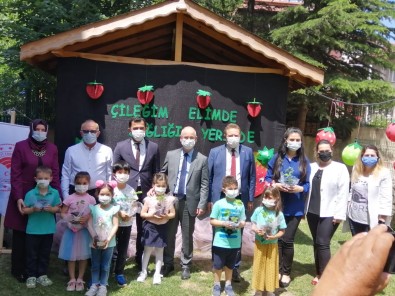 950 Minik Ögrenciye Saksida Çilek Fidesi Dagitildi