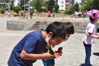 BİTLİS - Bitlis'teki Bütün Okullarda Telafi Egitimi Verilmeye Baslandi