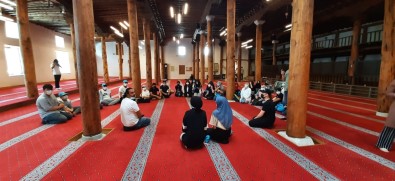 Düsünce Okulu Ögrencileri Sivrihisar'a Hayran Kaldi