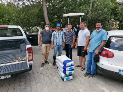 Gölbasi'nda Silajlik Soya Tohumu Dagitildi