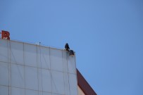 AFYONKARAHISAR - Hastanenin Çatisina Çikan Genci Polis Ikna Ederek Asagi Indirdi