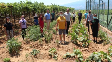 Okul Bahçesinde Sebze Yetistirip Okula Gelir Saglayacaklar