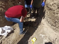 TERÖRİST CESEDİ - PKK Içinde Infazlar Sürüyor