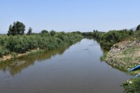BÜYÜK MENDERES NEHRI - Söke Ovasi'nin Can Damari Büyük Menderes Suya Kavustu