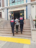 GİRESUN - Suç Makinesi Jandarma Dedektifleri Tarafindan Yakalandi