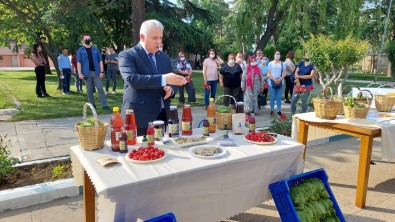 Tekirdag'da Cografi Tescilli Yapincak Yapragi Için Hasat Senligi