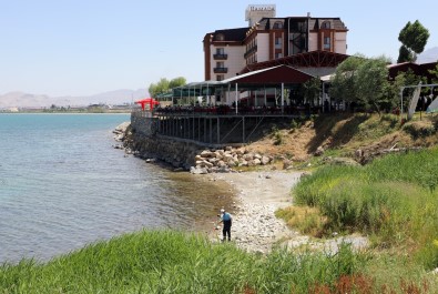 Van Büyüksehir Belediyesinin Erken Tedbiri Sinek Popülasyonunu Azaltti