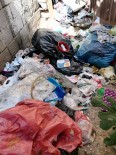HARABE - Vatandaslar Sikayet Etti, Baglar Belediyesi Çöp Evi Temizledi