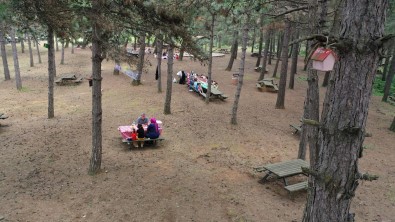 Basaksehir Belediyesinden Basaksehirlilere Özel Yesil Alan