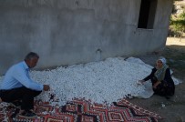 Batman'da Koza Hasadi Basladi