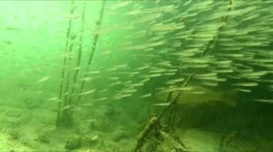 Efsanelere Konu Olan Göl Koruma Altina Alindi