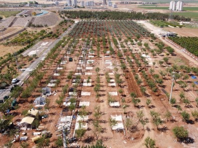 'Hobi Bahçesi' Projesinde Sona Yaklasiliyor