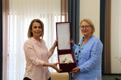 Türkiye'nin Tiflis Büyükelçisi Yazgan, Vali Becel'i Ziyaret Etti