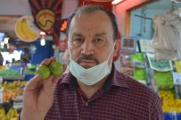 Yoklugun Manavi Varlikta Tercih Edilmiyor