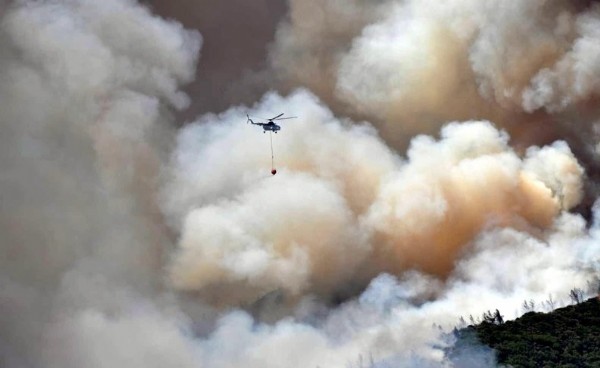 Marmaris'te orman yangını! Alevler rüzgarın etkisiyle büyüyor