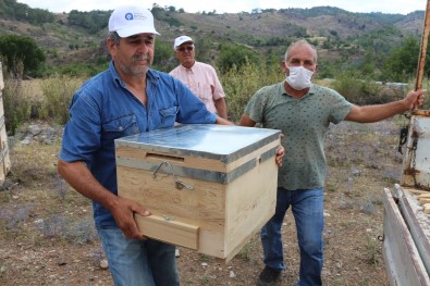 Aricilara Kovan Hibesi Yapildi , Çiftçilere Sertifikalari Verildi