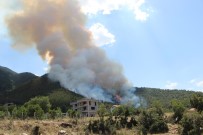SOSYAL MEDYA - Bakan Pakdemirli'den Denizli'deki Orman Yanginiyla Ilgili Açiklama