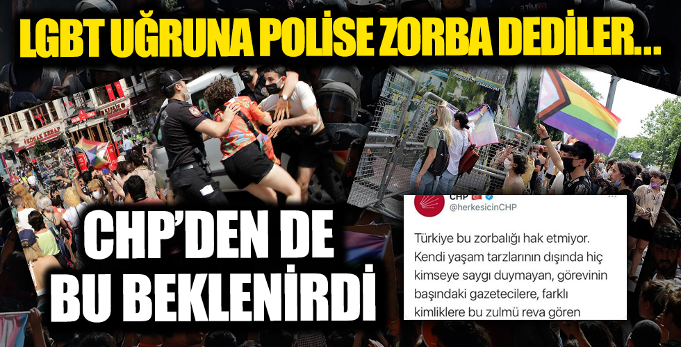 CHP'den büyük hadsizlik! LGBT uğruna Türk polisine zorba dediler!