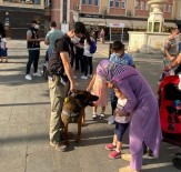 NARKOTIK - Erzincan'da Uyusturucu Kullanimi Ve Kaçakçiligina Yönelik Bilgilendirme Yapildi