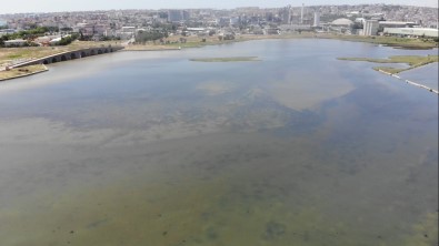 Kirlilik Nedeniyle Büyükçekmece Gölü'nün Rengi Degisti