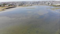 KANUNİ SULTAN SÜLEYMAN - Kirlilik Nedeniyle Büyükçekmece Gölü'nün Rengi Degisti